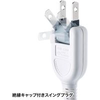 延長コード 電源タップ 1m 2P（ピン） 10個口 スイッチ ホワイト TAP-SP217-1 サンワサプライ 1個