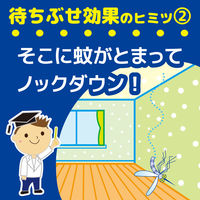 蚊がいなくなるスプレー PRO 365プッシュ 蚊取り 蚊 駆除剤 無香料 24時間持続 3本 KINCHO キンチョー