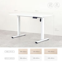 【軒先渡し】アスカ電動昇降デスク メモリー付 1200mm 白×白EDK12W1台（直送品）