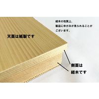 スドウ TT折箱 9寸浅かぶせ蓋 SD301785-20 1セット(20個)（直送品）