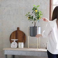 スパイス ゴールドアイアンスタンド付きポット Sサイズ TJXT1141 1個（直送品）