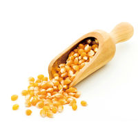 小谷穀粉 OSKべっぴん 北海道産とうもろこし茶 1箱（240バッグ：20バッグ入×12袋）