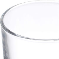 石塚硝子 エクセルWウイスキー 4963972313263 1セット(1個×24)