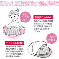 マルカ 湯たんぽ Aエース 2.5L 袋付 ブラウン 4964398096150 1セット(1個×2)