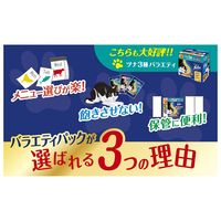 （バラエティパック）フィリックス 猫 我慢できない隠し味ゼリー お魚バラエティ（50g×12袋）3個 キャットフード