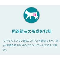 ピュリナワン 猫 F.L.U.T.H.ケア サーモン＆ツナ 2kg 3袋 キャットフード ネスレ日本