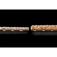 サンコー おくだけ吸着 撥水 プレミアムマット 9枚入 30cm×30cm 犬 猫 日本製 消臭 洗える ベージュ KV-81（直送品）