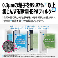シャープ（SHARP） プラズマクラスター加湿空気清浄機 プレミアムモデル 最大46畳（空気清浄） KISX100W 1台