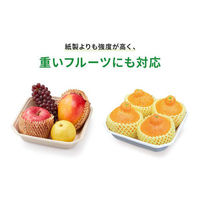 パックスタイル バガス容器 WBフルーツ 4L 4589443403266 1袋(50個)（直送品）