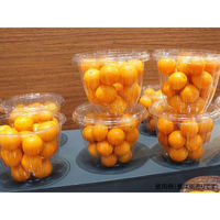 パックスタイル 麺・スープ容器 33ozサラダ 本体 534555 1袋(50個)（直送品）