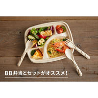 パックスタイル エコカトラリー BBカトラリー フォーク 単袋入 150mm 663605 1袋(100個)（直送品）