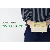 パックスタイル 紙ナフキン BBソフトナフキン 300枚/100組 617496 1袋(1個)（直送品）