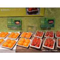 パックスタイル バガス容器 WB 14-14 604002 1袋(50個)（直送品）