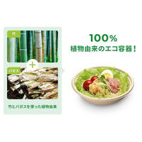 パックスタイル バガス容器 BBボウルM 小 129φ×40H 00670564 1袋(50個)（直送品）