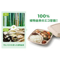 パックスタイル バガス容器 BB弁当 N24-20A ラミ(5枚入) 00678175 1袋(1個)（直送品）