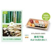 パックスタイル バガス容器 BB寿司容器 S-10 ラミ 654443 1袋(50個)（直送品）