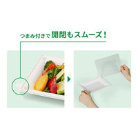 パックスタイル バガス容器 WBプレート 20-17 639720 1袋(50個)（直送品）