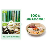 パックスタイル バガス容器 BB丸桶 6 ラミ 398φ×45H 654440 1袋(10個)（直送品）