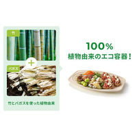 パックスタイル バガス容器 BBオードブル 小判1 ラミ 654441 1袋(10個)（直送品）