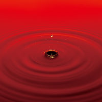 ヤマサ しょうゆ 1L 1本