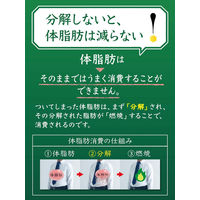 【キャンペーン品】【トクホ・特保】サントリー 特茶カフェインZERO ブレンド茶 NEWSパック 500ml 1箱（20+4本入）