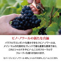 マム コルドン ルージュ ハーフ ギフトボックス入り シャンパーニュ 375ml 1本 辛口 白 シャンパン お祝い ペルノ・リカール