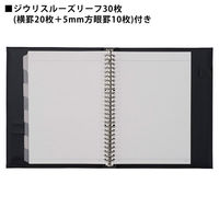マルマン ジウリス バインダー B5 26穴 ブラック F509B-05 1冊