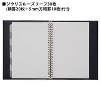 マルマン ジウリス バインダー A4 30穴 ブラック F988B-05 1冊