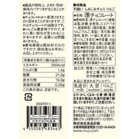 無印良品 不揃い しみこみチョコ りんご ４５ｇ 1セット（1袋×10） 良品計画