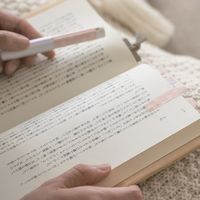 フィルム付箋 リトロ PATTERN フルーティー 2本 LT1004 カンミ堂