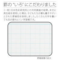 日本ノート 科目名入り スクールライン 算数 セミB5 SLS10MT 2冊
