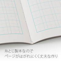 日本ノート カレッジアニマル学習帳 漢字ドリル用ノート セミB5 120字 ヒツジ 漢字練習帳 国語 LP62 2冊
