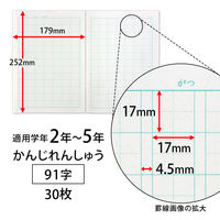 学習帳 かんじ セミB5 ムーミン 91字 LU3791 2冊 日本ノート