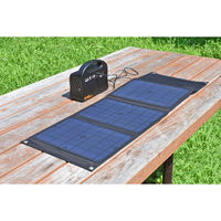クマザキエイム 折り畳みソーラーパネル EP-30SP 1セット(10台)（直送品）