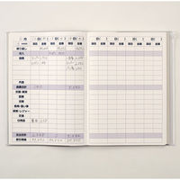 ダイゴー 大きくかける家計簿 B5 ブルー J2161 1セット(6冊)（直送品）