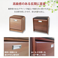 谷村実業株式会社 ベンチ式シューズラック　ナチュラル　40cm TAN-815-40(NA) 1個（直送品）