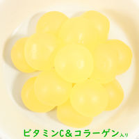 【ワゴンセール】ハイレモングミ 51g 10袋 アトリオン製菓