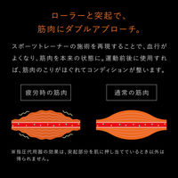 SIXPAD（シックスパッド） Conditioning Roller MTG