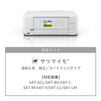 エプソン インクジェットプリンター EP-816A 1台
