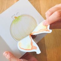 コクヨ しかけえほん2冊セット(くだものどうぞ・おやさいどうぞ) KE-WC54と57 1袋（直送品）