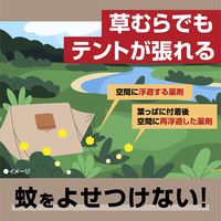 Coleman コールマン ヤブ蚊よけ 1プッシュ式スプレー 120プッシュ分 無香性 1セット（2個） ヤブカ駆除 アース製薬