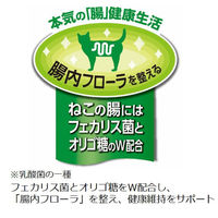 JPスタイル 和の究み セレクトヘルスケア 腎臓ガード チキン味 国産 1.4kg（200g×7パック）2袋 キャットフード 猫 ドライ