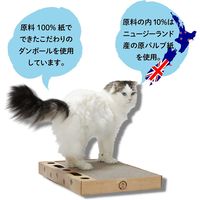 バリバリパッドコロコロボールスクエア 猫おもちゃ 猫壱