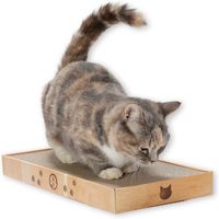 バリバリパッドワイド交換用つめとぎ 2個パック 猫壱