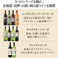 【北海道フェア】グランポレール 余市ツヴァイゲルトレーベ 750ml 赤 1本