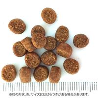 ウェルネス コアダイジェスティブヘルス 成猫用 1歳以上 サーモン＆米 消化器ケア 400g 1個 キャットフード 猫 ドライ