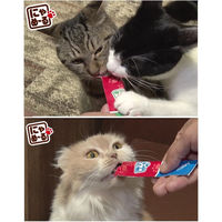 にゃめーる ねこモテ 猫 おやつ とり 国産（12g×5本）10袋 ウェット アース・ペット