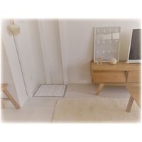 クリーンワン スタイリッチ リラックスオリエンタルの香り ワイド 44枚 1袋 シーズイシハラ