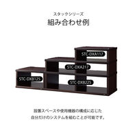 【並行輸入品】朝日木材加工 Stackシリーズ オーディオラック ダブル積み重ね/天然木無垢仕様 STC-DXA223 1台（直送品）