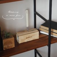 hauska（ハウスカ） 粘着クリーナー＆ケースセット ミント 1セット オカトー